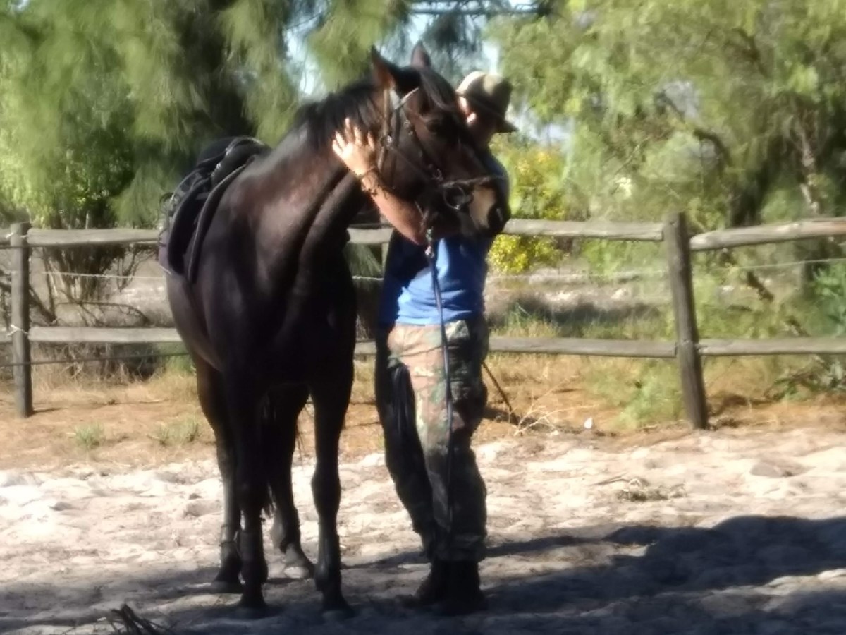 My Horse, My Best&nbsp;Friend.