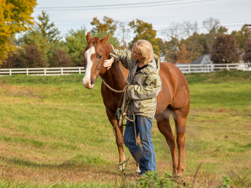 The Art of Patience – What Horses Teach Us About&nbsp;Waiting