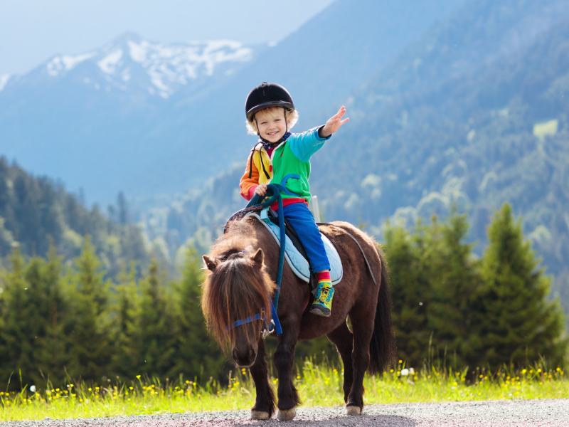 Miniature Horses as Service Animals: Small Size, Big&nbsp;Heart