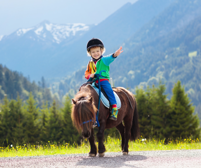 Miniature Horses as Service Animals: Small Size, Big&nbsp;Heart